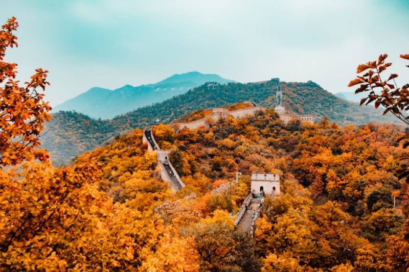 Cours de Chinois en Visioformation à American Center Lyon : Une Approche Flexible pour Apprendre une Nouvelle Langue