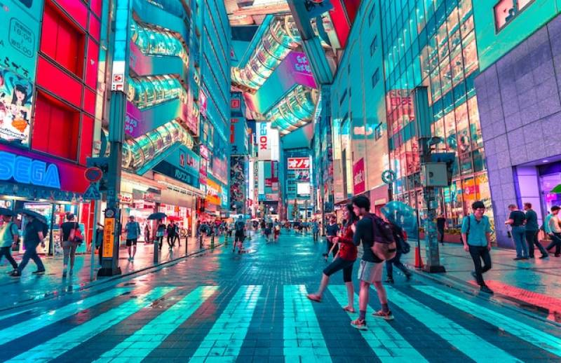 Cours de Japonais en Visioformation dès le niveau débutant dans la région de Lyon