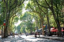 Cours Mirabeau Aix-en-Provence